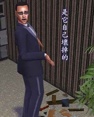 模擬市民黑寡婦挑戰:黑色人妻星期五
